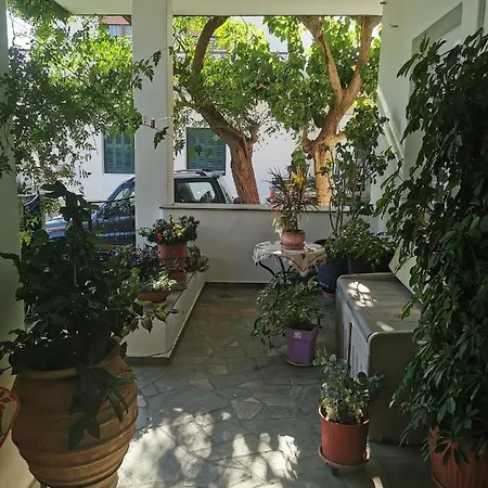 Daire Katerina's *